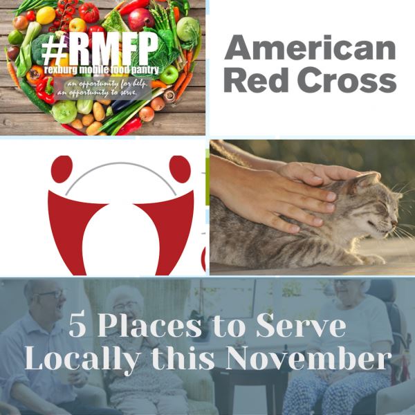 Photo of 5 Places to Serve Locally This November