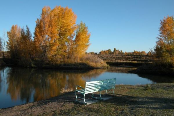 bench in front of water
