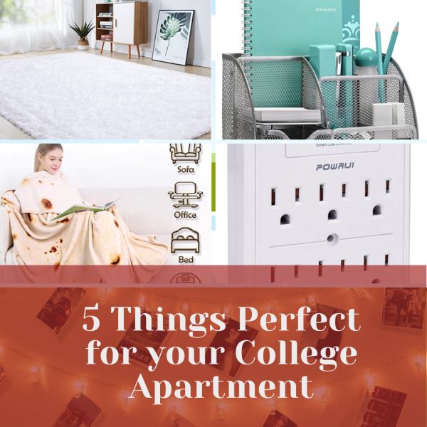 Photo of 5 Things Perfect for your College Apartment