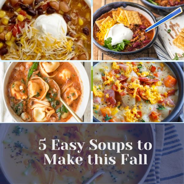 Photo of 5 Easy Soups to Make this Fall